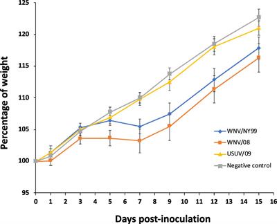 Experimental infections in red-legged partridges reveal differences in host competence between West Nile and Usutu virus strains from Southern Spain